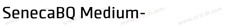 SenecaBQ Medium字体转换